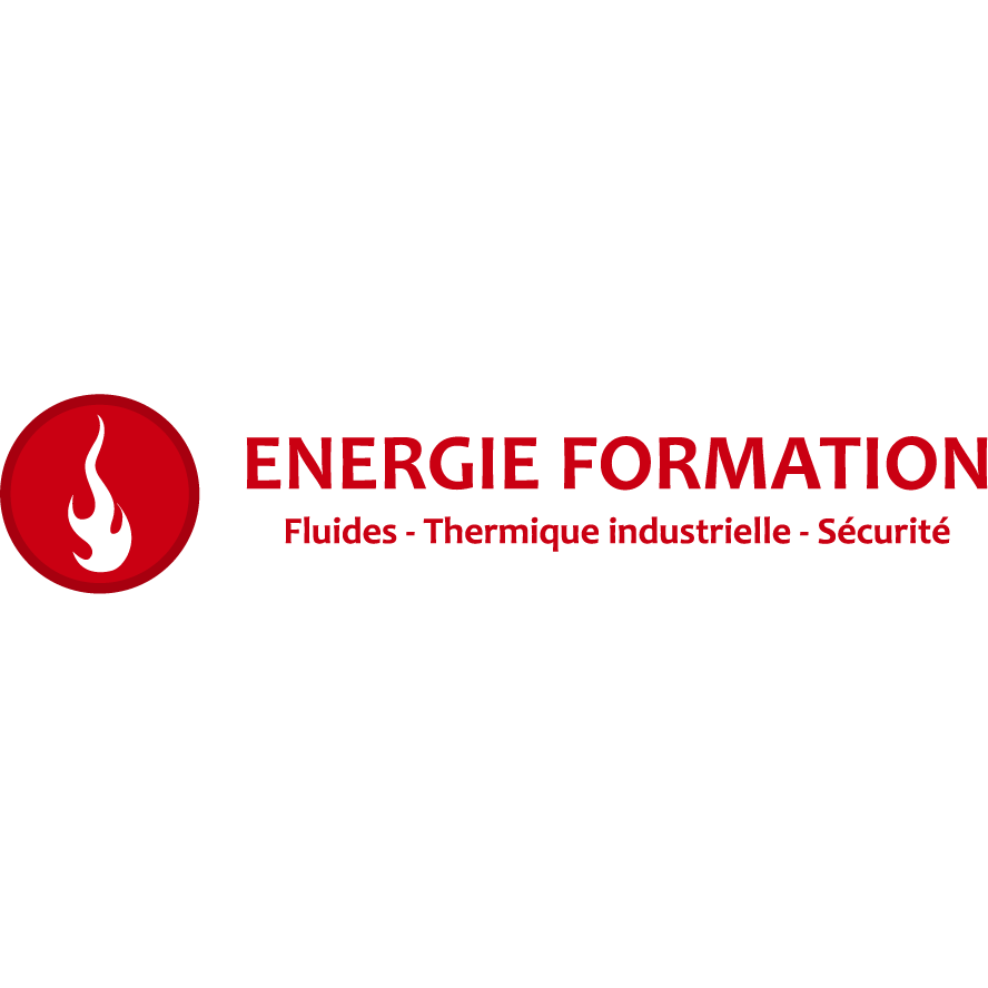 logo-WEB-EF-carre